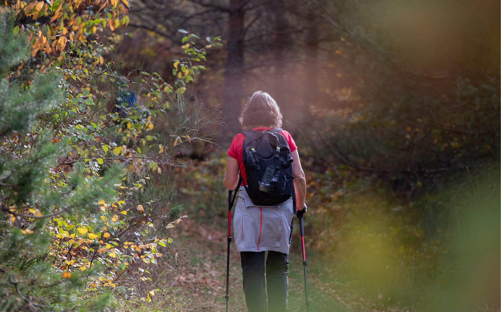 Sentiers thématiques